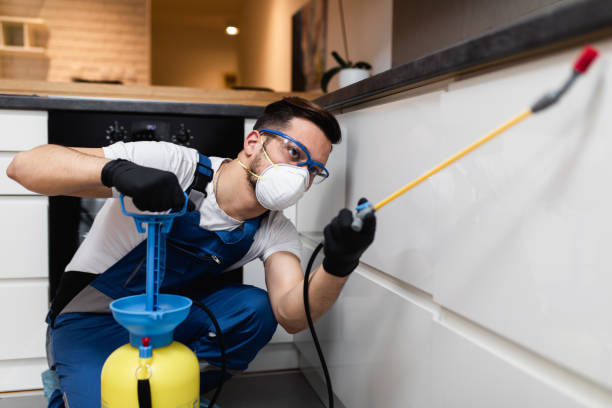 Best Exterminator Services  in Norfolk, NE