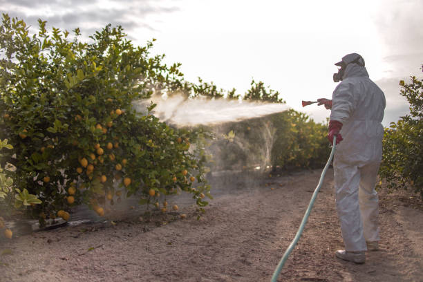 Best Best Pest Control Companies  in Norfolk, NE