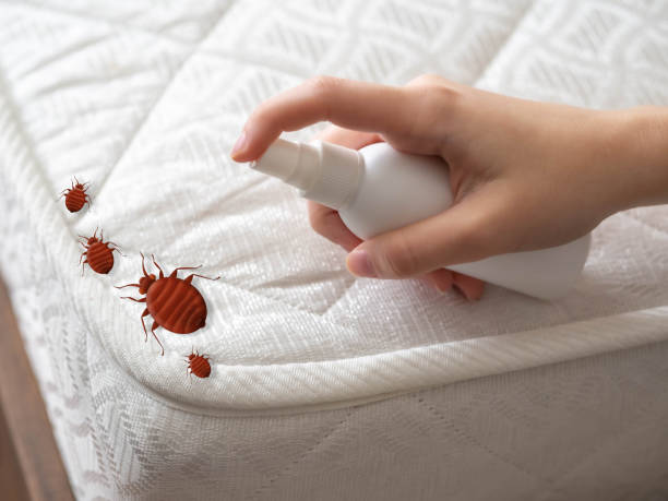 Pest Control Cost in Norfolk, NE