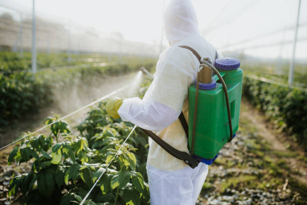 Best Affordable Pest Control Services  in Norfolk, NE